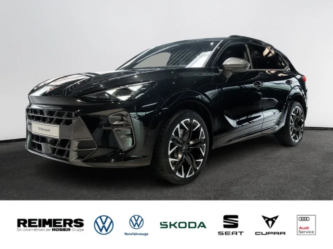 Details zum Fahrzeug: CUPRA Terramar 2.0 TSI 4Drive W VZ DCC AHK Kam. Navi