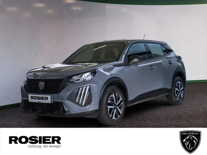 Details zum Fahrzeug: PEUGEOT 2008 PT100