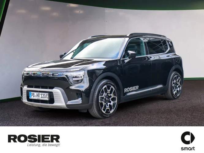 Details zum Fahrzeug: SMART #5 Pulse AWD