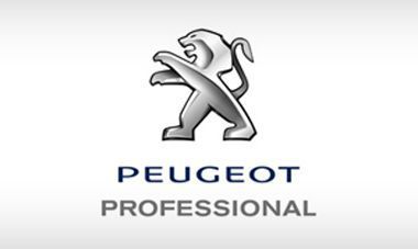 Peugot professional logo mit schatten