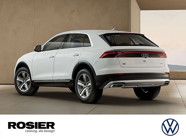 Q8_SUV_heck.jpg