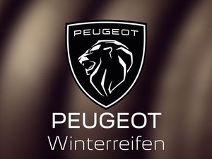 PEUGEOT Winterreifen