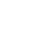 Audi Logo