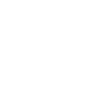 VW Logo